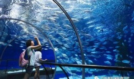 海洋水族馆爆料事件视频,惊人内幕揭露幕后真相